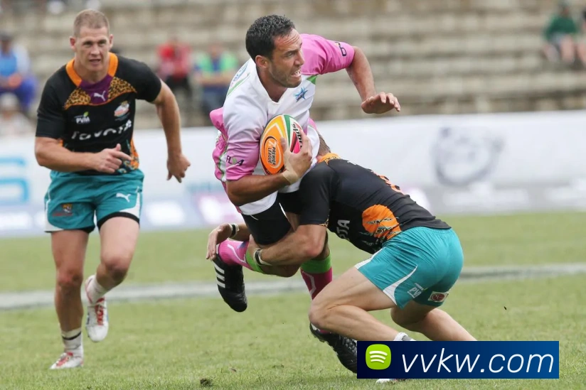 大阳城手机版官方网站APP 封面图